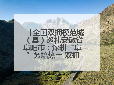 全国双拥模范城（县）巡礼安徽省阜阳市：深耕“阜”务培热土 双拥之花向“阳”开