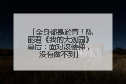 全身都是淤青！陈丽君《我的大观园》幕后：面对滚楼梯，没有做不到