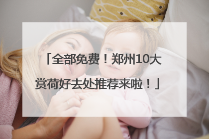 全部免费！郑州10大赏荷好去处推荐来啦！