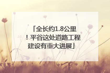 全长约1.8公里！平谷这处道路工程建设有重大进展