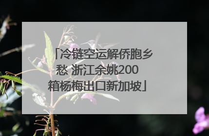 冷链空运解侨胞乡愁 浙江余姚200箱杨梅出口新加坡