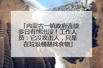 内蒙古一镇政府连续多日有熊出没！工作人员：它没攻击人，只是在垃圾桶翻找食物