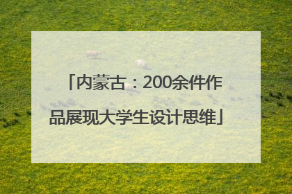 内蒙古：200余件作品展现大学生设计思维