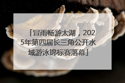 冒雨畅游太湖，2025年第四届长三角公开水域游泳锦标赛落幕