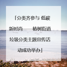 分类齐参与 低碳新时尚——椿树街道垃圾分类主题宣传活动成功举办