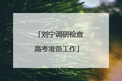 刘宁调研检查高考准备工作