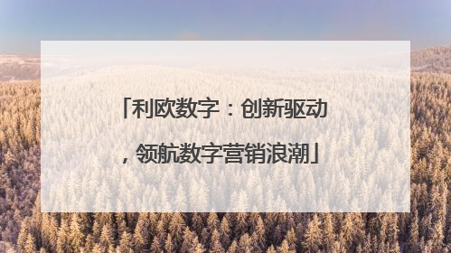 利欧数字：创新驱动，领航数字营销浪潮