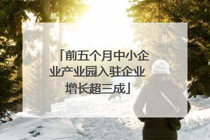 前五个月中小企业产业园入驻企业增长超三成