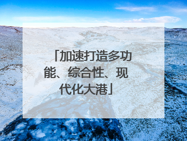 加速打造多功能、综合性、现代化大港