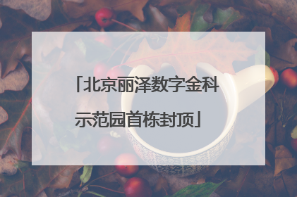 北京丽泽数字金科示范园首栋封顶