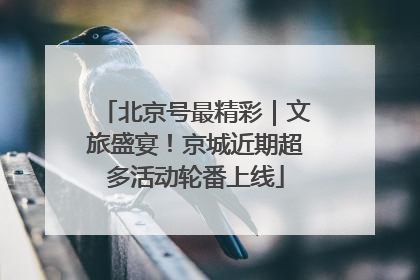 北京号最精彩｜文旅盛宴！京城近期超多活动轮番上线