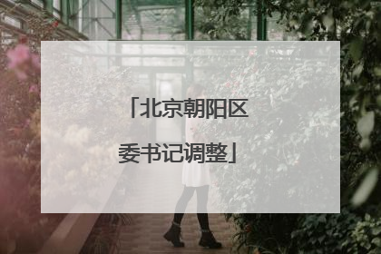 北京朝阳区委书记调整