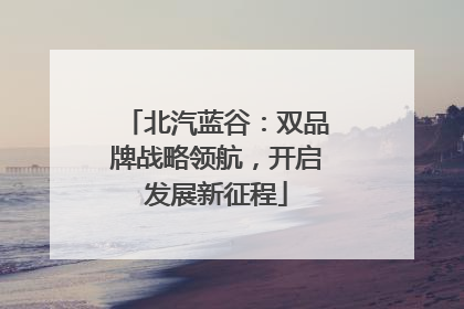 北汽蓝谷：双品牌战略领航，开启发展新征程
