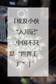 埃及小伙“入川记”：中国不只是“世界工厂”