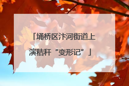 埇桥区汴河街道上演秸秆“变形记”
