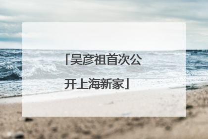 吴彦祖首次公开上海新家