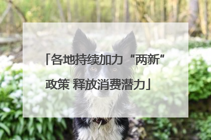 各地持续加力“两新”政策 释放消费潜力