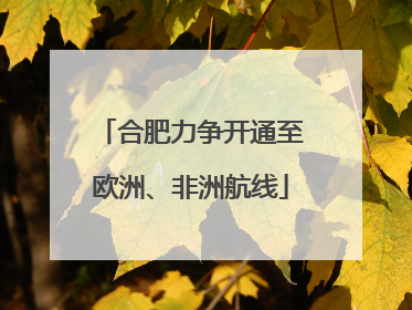 合肥力争开通至欧洲、非洲航线