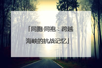 同胞·同袍：跨越海峡的抗战记忆