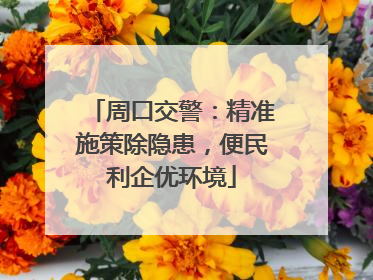 周口交警：精准施策除隐患，便民利企优环境