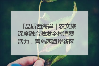 品质西海岸｜农文旅深度融合激发乡村消费活力，青岛西海岸新区的乡村振兴实践