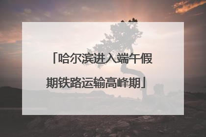 哈尔滨进入端午假期铁路运输高峰期