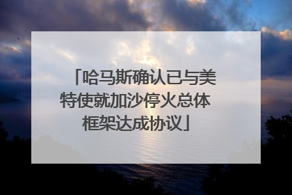 哈马斯确认已与美特使就加沙停火总体框架达成协议