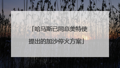 哈马斯已同意美特使提出的加沙停火方案