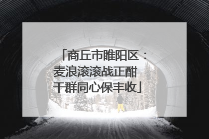 商丘市睢阳区：麦浪滚滚战正酣 干群同心保丰收