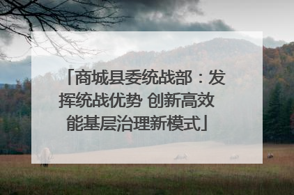 商城县委统战部：发挥统战优势 创新高效能基层治理新模式