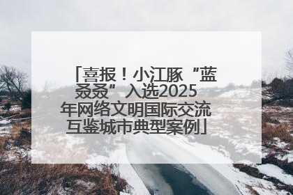 喜报！小江豚“蓝叒叒”入选2025年网络文明国际交流互鉴城市典型案例
