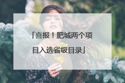 喜报！肥城两个项目入选省级目录