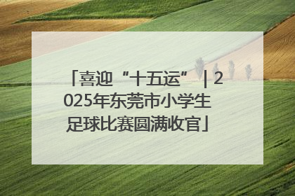 喜迎“十五运”｜2025年东莞市小学生足球比赛圆满收官