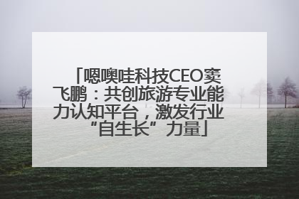 嗯噢哇科技CEO窦飞鹏：共创旅游专业能力认知平台，激发行业“自生长”力量