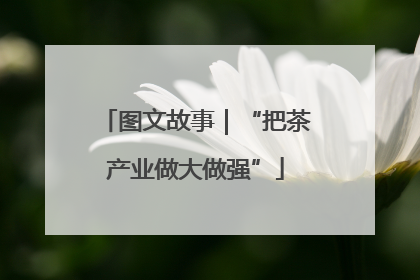 图文故事｜“把茶产业做大做强”