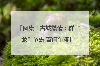 图集丨古城燃情：群“龙”争霸 百舸争渡
