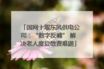 国网十堰东风供电公司：“数字反哺” 解决老人度夏缴费难题