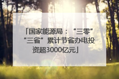 国家能源局：“三零”“三省”累计节省办电投资超3000亿元
