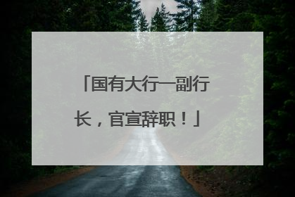 国有大行一副行长，官宣辞职！