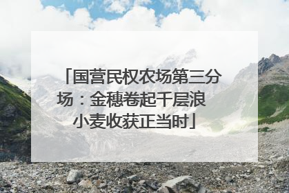 国营民权农场第三分场：金穗卷起千层浪 小麦收获正当时