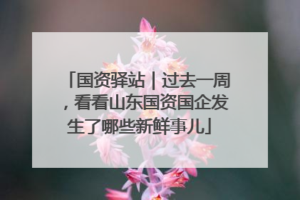 国资驿站｜过去一周，看看山东国资国企发生了哪些新鲜事儿