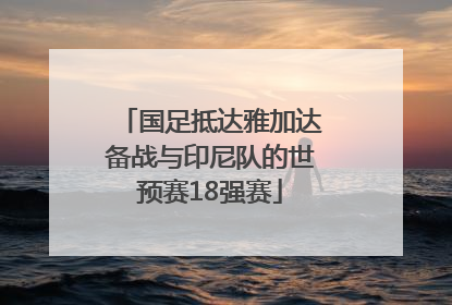 国足抵达雅加达备战与印尼队的世预赛18强赛