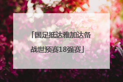 国足抵达雅加达备战世预赛18强赛
