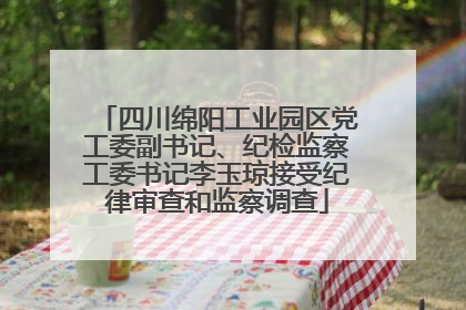 四川绵阳工业园区党工委副书记、纪检监察工委书记李玉琼接受纪律审查和监察调查