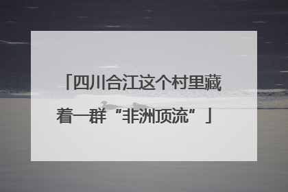 四川合江这个村里藏着一群“非洲顶流”