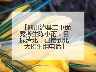 四川泸县二中优秀考生陈小雨：目标清北，已接到北大招生组电话