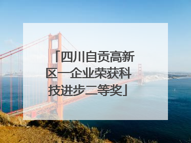 四川自贡高新区一企业荣获科技进步二等奖
