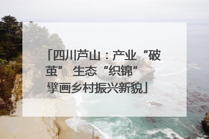四川芦山：产业“破茧” 生态“织锦” 擘画乡村振兴新貌