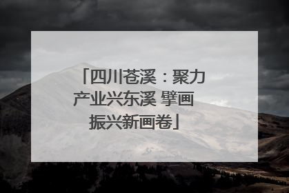 四川苍溪：聚力产业兴东溪 擘画振兴新画卷