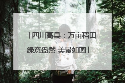 四川高县：万亩稻田绿意盎然 美景如画